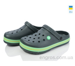 Кроксы Golden Lion